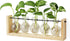 Mkono Plant Terrarium with Wooden Stand, Wall Hanging Glass Planter Desktop Plant