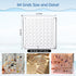 Acrylic Magnetic Seashell Display Box, Decorative Storage Case for Seashells, Trinkets, and Small Craft Organizers