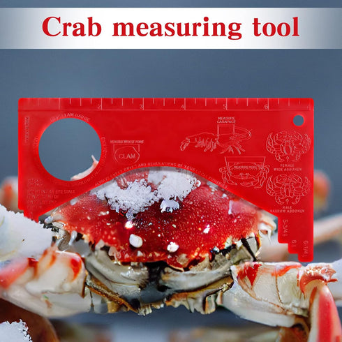 4 Kathfly Pcs Dungeness Crab Gauge Measure Clam Measuring Tool for Multi Shrimps Lobster Shellfish, Red