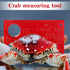 4 Kathfly Pcs Dungeness Crab Gauge Measure Clam Measuring Tool for Multi Shrimps Lobster Shellfish, Red