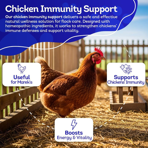 HA4E Immune 350 - Chicken Support for Mareks Disease - Natural Support & Strengthening - Highly Effective Homeopathic