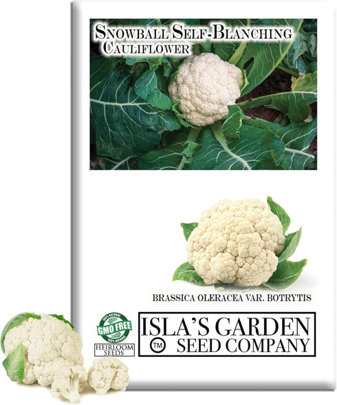 Snowball Self-Blanching Cauliflower Seeds 1000+ Non-GMO & Heirloom Seeds, Brassica oleracea VAR.
