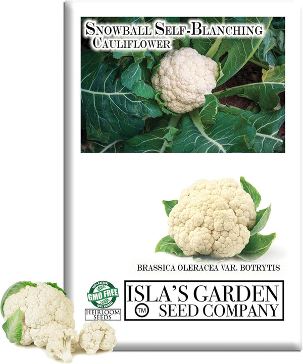 Snowball Self-Blanching Cauliflower Seeds 1000+ Non-GMO & Heirloom Seeds, Brassica oleracea VAR.