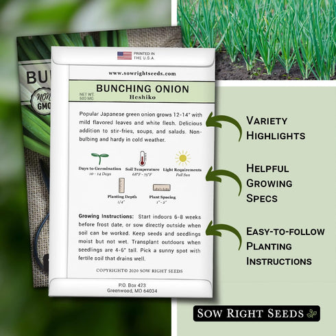 (2) Sow Right Seeds - Heshiko Japanese Bunching Green Onion Seeds for Planting - Non-GMO Heirloom - Instructions