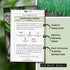(4) Sow Right Seeds - Heshiko Japanese Bunching Green Onion Seeds for Planting - Non-GMO Heirloom - Instructions