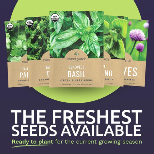 Pack 16 Packs 2026 Organic Herb Seeds Variety - Individual - Season - Basil, Cilantro, Dill, Thyme, Parsley and More!