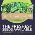 Pack 16 Packs 2026 Organic Herb Seeds Variety - Individual - Season - Basil, Cilantro, Dill, Thyme, Parsley and More!