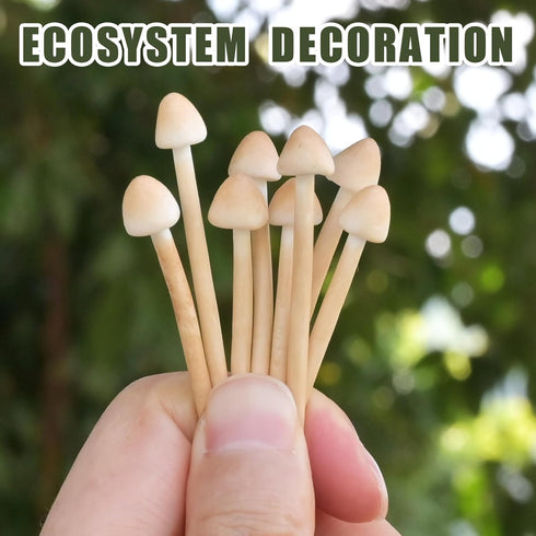 Mumutie 8-Pack Handmade Clay Mushrooms - Mini Fake Mushrooms for DIY Miniature Landscapes & Fairy Gardens - Desktop