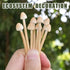Mumutie 8-Pack Handmade Clay Mushrooms - Mini Fake Mushrooms for DIY Miniature Landscapes & Fairy Gardens - Desktop