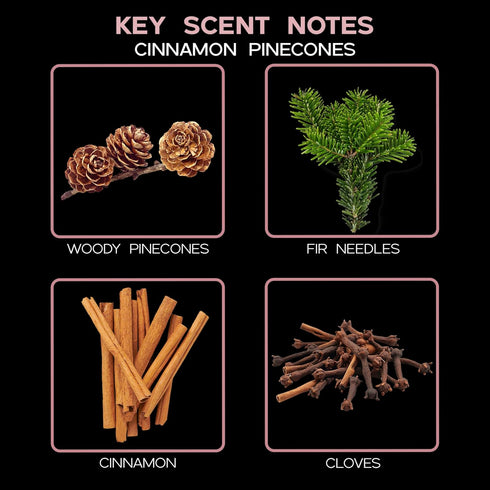 LOVSPA Cinnamon Pinecones Reed Diffuser Oil Gift Set, Festive Scented Air Freshener & Home Decor