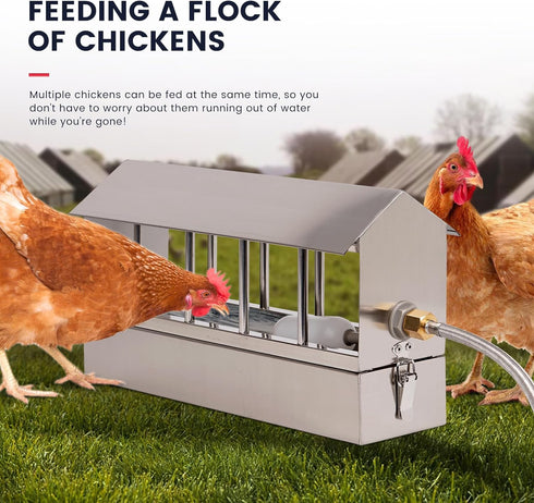 Automatic Chicken Waterer Stainless Steel Chicken Water Feeder Pigeon Water Dispenser with Float Valve Automatic