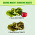 Produce Freshness Preserver Saver Kit, Keep Fruits and Vegetables Fresh Longer, Ethylene Gas Absorber (2 Pack)