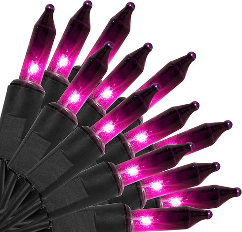 Greenbrier International 20 Count 5 Purple Halloween Mini Lights with Black Wire feet