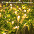 65ft 200 8 Dimmable koopower LED Indoor String Lights with Remote and Timer, Plug-in Modes Fairy Lights for Bedroom