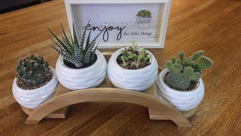 Set, Pack 4, E-liu Succulent Pots and Stand Ceramic White Succulent Planter Pot with Drainage, of Cute Office Garden