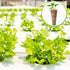 200 Chumia Pcs Hydroponics Grow Sponges Replacement Root Growth Sponges Pods Kit for Indoor Hydroponic Garden Patio