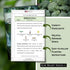 Packet (2) Sow Right Seeds - Di Cicco Broccoli Seeds for Planting - Non-GMO Heirloom with Instructions to Plant an