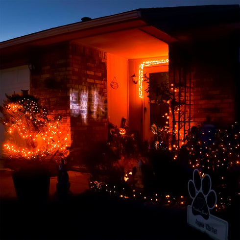 16 50 4 Pack RUICHEN Ft Copper Wire LED Mini Fairy String Lights Battery Operated for Bedroom, Halloween, Parties