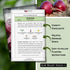 Packet Sow Right Seeds - Ruby Red Onion Seeds for Planting - Non-GMO Heirloom with Instructions to Plant a Home