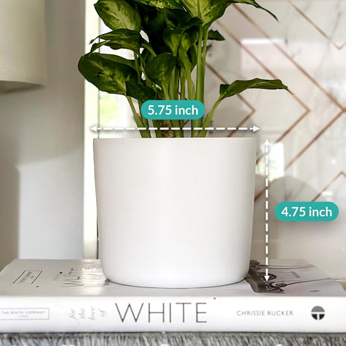 Willowy 6 Inch White Ceramic Plant Pot (Matte) - Planter for Indoor Plants with Drainage, White Pots