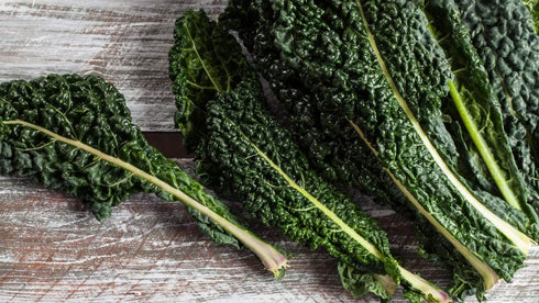 94% Gaea's Blessing Seeds - Lacinato Kale Seeds - Non-GMO Seeds with Easy to Follow Planting Instructions - Open