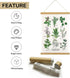 XIAOAIKA Aromatic Herbs Poster Wall Art Prints HD Vibrant Colorful Rustic Style of Herbs Wall Hanging Illustrative