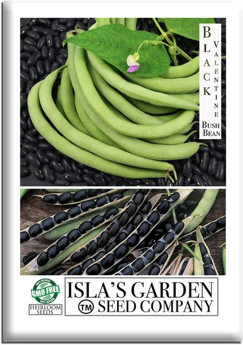 "Black Valentine" Bush Bean Seeds, 50+ Heirloom Seeds Per Packet, Non GMO