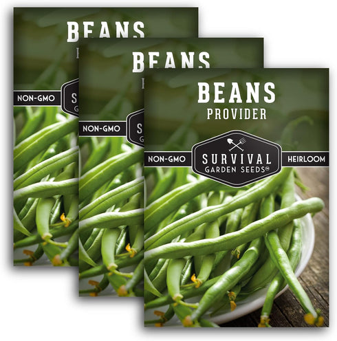 Bush Bean Seeds for Planting - Provider Green Beans, Stringless Heirloom Garden