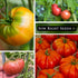 Sow Right Seeds - Beefsteak Style Tomato Seed Collection for Planting - Beefsteak, Kellogg's, Cherokee Purple, Mortgage