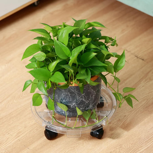 4 Packs 10.2 inches Small Clear Plant Caddy Plant Saucers on Wheels Rolling Plant Stands Heavy-duty Plant Dolly Plastic
