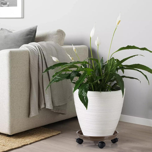 Skelang 3 11.8" Pcs Plant Caddy, Plant Stand, Round Plant Pallet Pot with Lock Wheels, Rolling Tray Planter Trolley