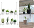 ZerzSemp 2-Tier 16 Inch Hanging Clear Plant Shelves for Windows, Acrylic Window Wall Plant Stand Shelf for Kitchen