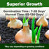 8 1600+ Bulb HOME GROWN Onion Variety Mix Heirloom Non-GMO Seeds for Planting, High Germination, Red, Yellow, White