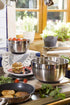 Roesle Stainless Steel Twirl Whisk, 10.6-inch