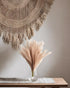 UiiziC Faux Pampas Grass Dried Fluffy 6pcs, 35" Ascendant Grass for Wedding Bouquets, Home Decor (Brown)