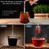 Original Coffee & Tea Maker, Portable Stainless Steel Micro French Press for Hot, Iced & Cold Brew