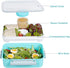 shopwithgreen 3 Pack Salad Food Storage Container to Go, 47-oz Bento Box with 3-Compartment, for Sandwich, Fruit, Lunch, Snacks, Pasta, School & Travel (Blue & Blue & Blue)