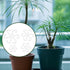 BOXOB 4pcs (4 Plant Stem Support, Plant Stem Holder with Holes Acrylic Plant Trellis Stakes Monstera Plant Stabilizer