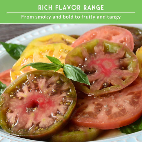 5 Pack Hillbilly, Colorful Heirloom Tomato Seeds Variety with Rare Non-GMO Tomatoes for Planting | Black Krim, Cherokee