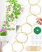 sousac 18 Pcs Chain Trellis for Climbing Plants, Potted Houseplant Accessories for Hoya,
