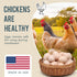 120 Chicken De-wormer: an All-Natural Health Formula, Tablets, Safe for Eggs During Use, Complete Poultry Medicine