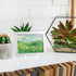 25 Pack Acrylic Easel Stand, 3 Inch Clear Plastic Mini Plate Holders for Photos, Sports Cards, Coins