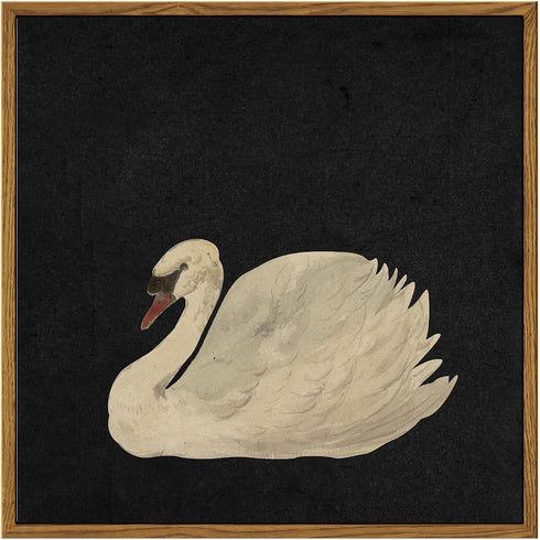 InSimSea Framed Canvas Wall Art, Swan Painting Pictures for Rustic Bathroom, Farmhouse Living Room Decor