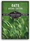 Oat Seeds for Planting Heirloom Avena Sativa Milky Oats Medicinal Herb &