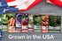 8 Gardeners Basics Winter, Fall, and Spring Vegetable Seeds for Planting | Cool Weather Crops | Varieties: Sugar Snap