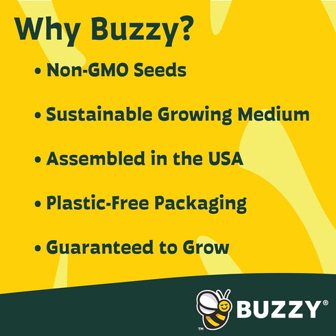 9 BUZZY Seeds Apothecary Garden Wellness Kit with Varieties of Non-GMO Flower and Herb Seeds, Terracotta Pots, Growing