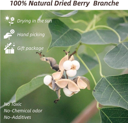 220g 17" 2 Tallow Berries Dried Christmas Decor- Natural Stem Wedding Floral Decor, White Holly Tallow Berries, Bundles