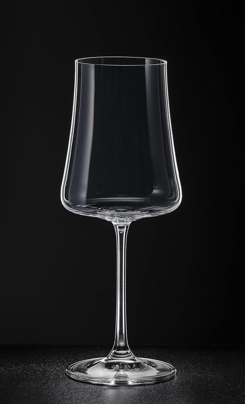 BENETI Exquisite Wine Glasses Set of 2, Handmade in Europe, 15oz Premium Crystal Red & White Long Stem Glasses