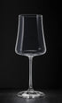 BENETI Exquisite Wine Glasses Set of 2, Handmade in Europe, 15oz Premium Crystal Red & White Long Stem Glasses