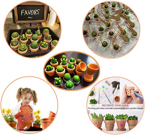 Succulent Candles, Novelty Cactus Tealight Candle Decorations for Baby Shower Party Favors, Terrarium Cacti Home Decor